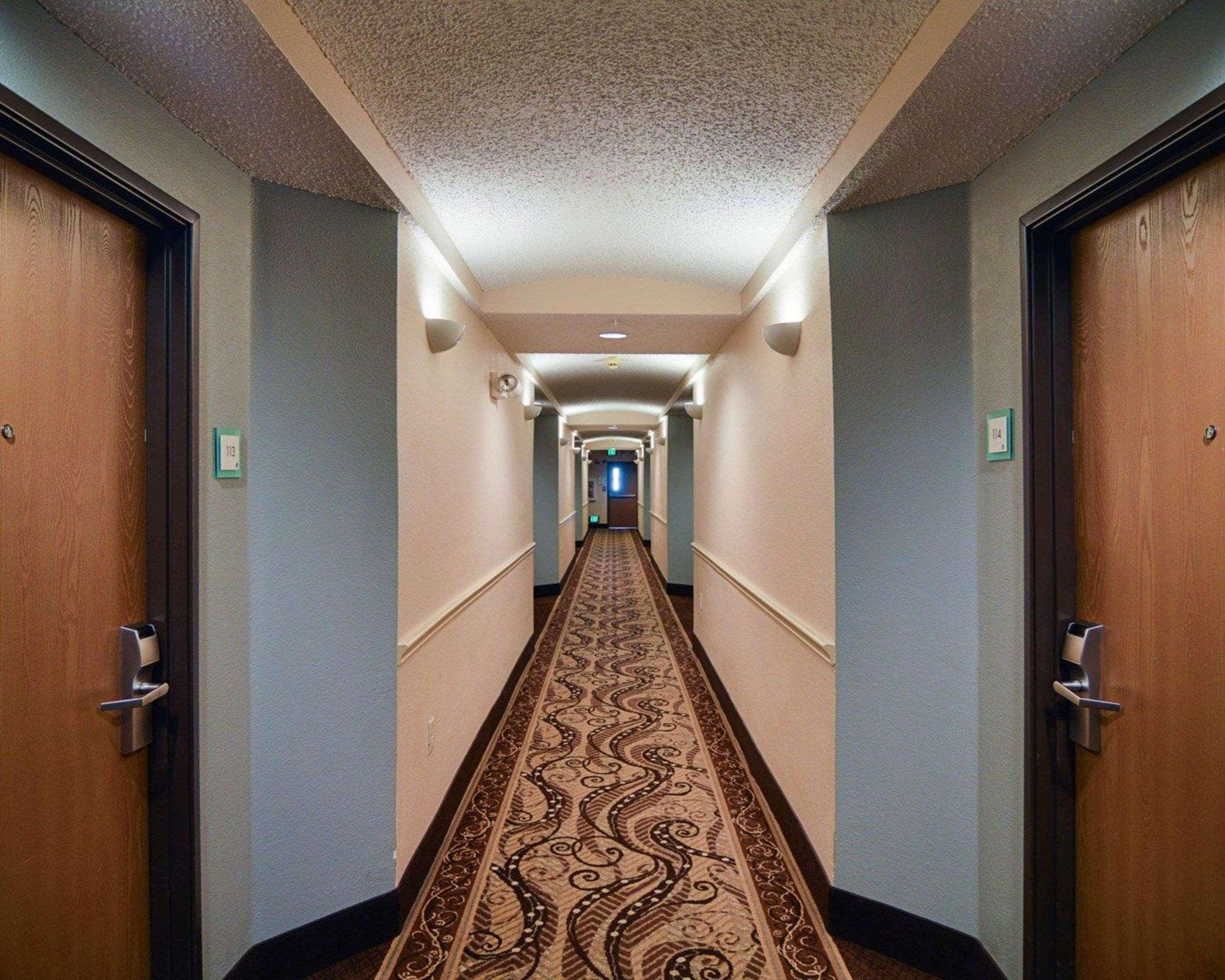 Comfort Suites Dfw Airport Irving Bagian luar foto