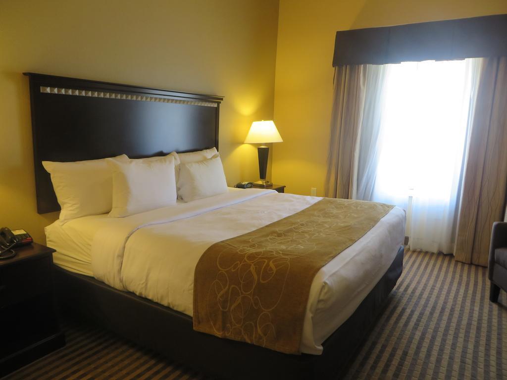 Comfort Suites Dfw Airport Irving Bagian luar foto